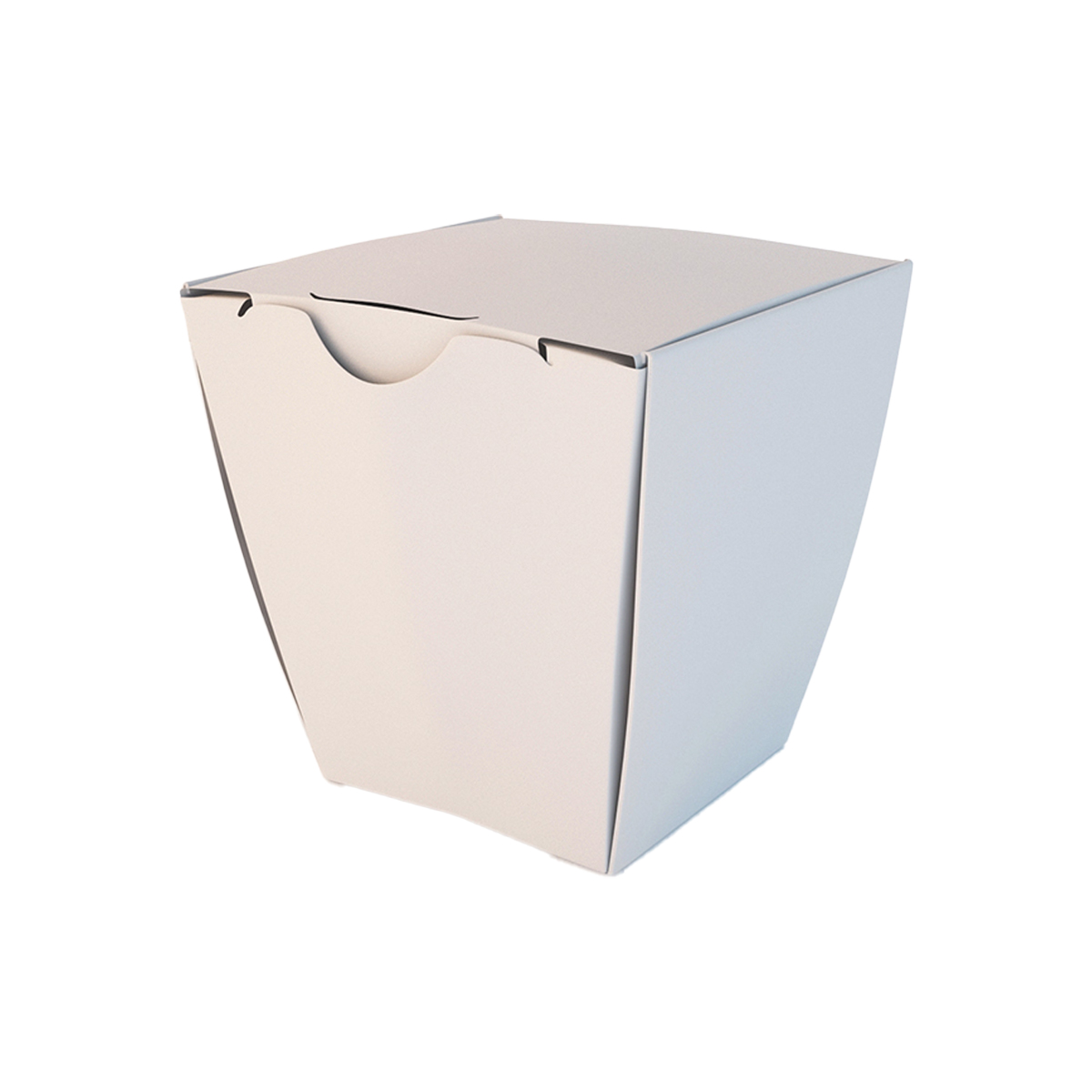 Chinese Food Boxes