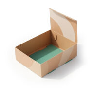 Double Wall Tuck Top Box